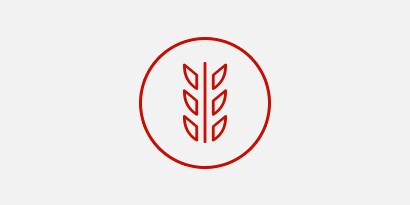 ikona food safety
