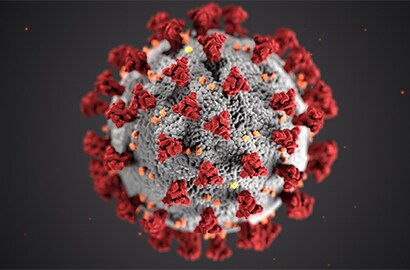 koronavirus